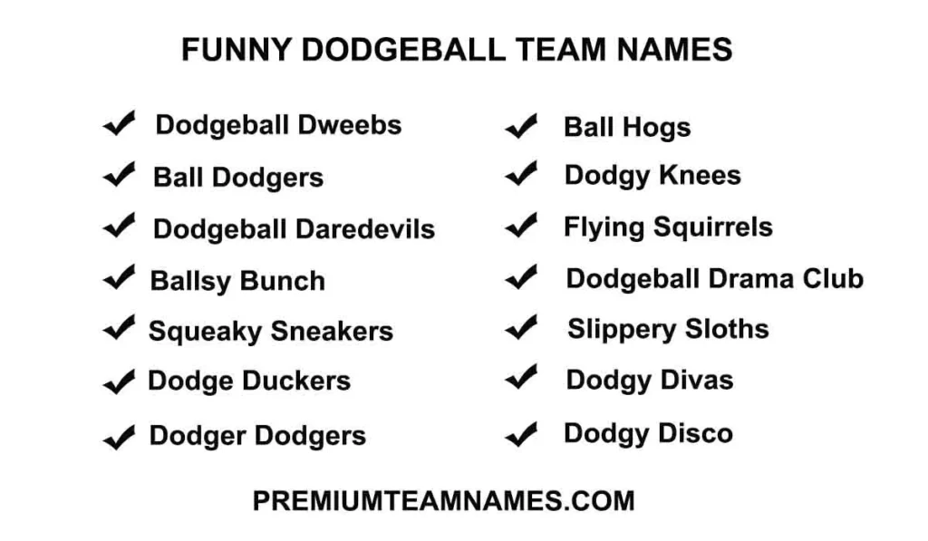 Funny Dodgeball team names