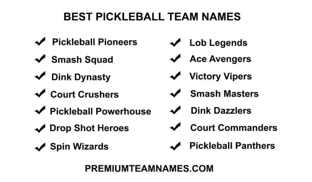 Best Pickleball team names ideas