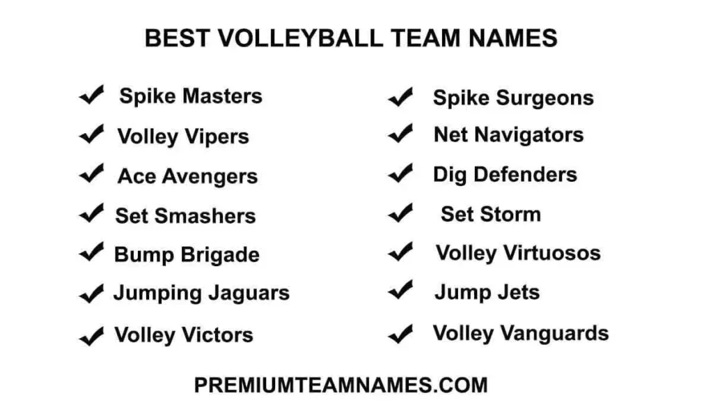 Best Volleyball team names