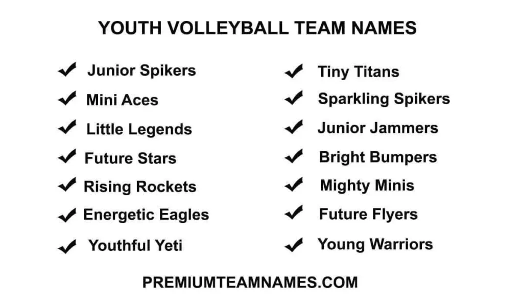 Youth volleyball team names