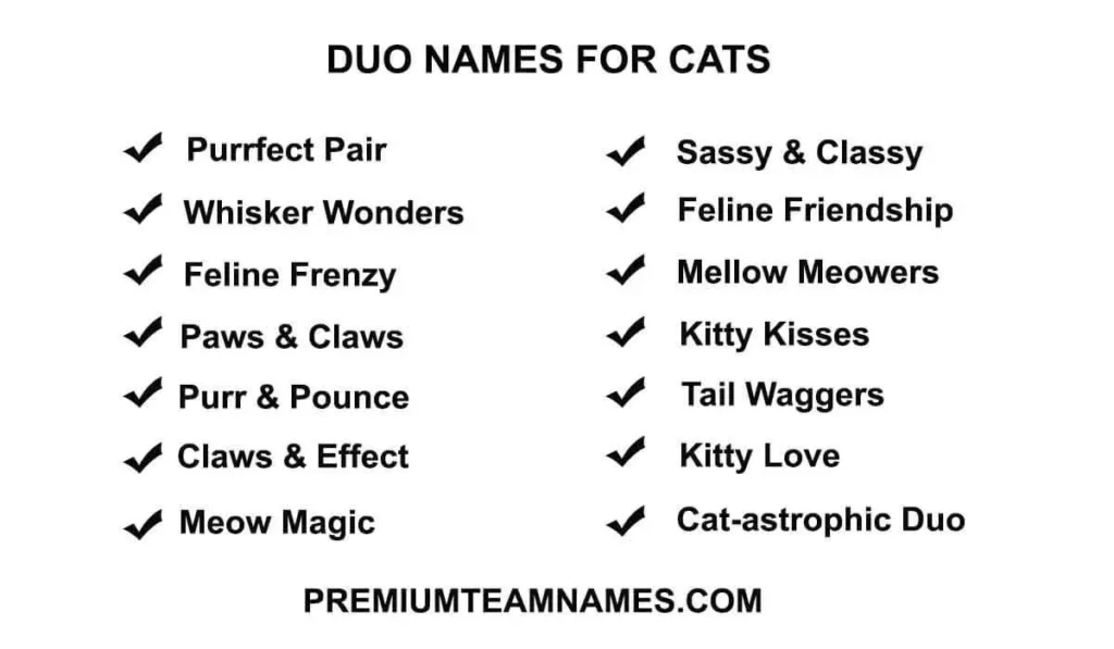 Duo names for cats