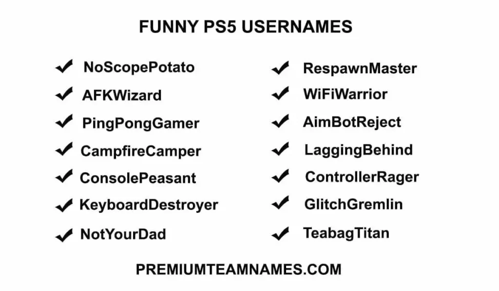 Funny PS5 Usernames