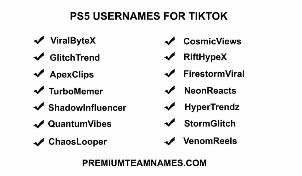 PS5 Usernames for Tiktok